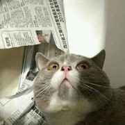 梨小橙是仙女