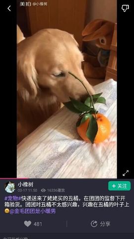 ✨媳婦⭐求🌙帶走✨主播照片
