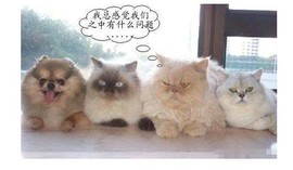 静远~主播照片