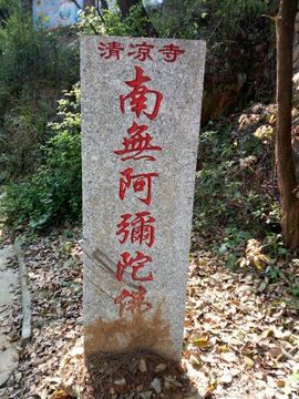 @白狐主播照片