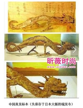 @东厂金龙@主播照片
