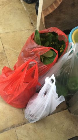 保护我方ღ菲儿ღ主播照片