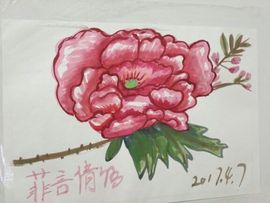 超越@菲言倩语主播照片