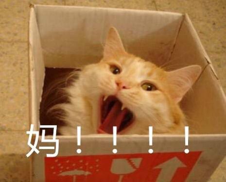 此号无用，此人不见主播照片
