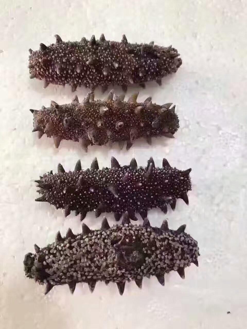 网事如烟......的主播照片