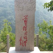 西伯利亚狼lq