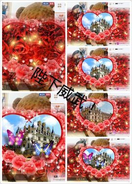 粤语情歌天后主播照片