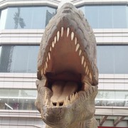 宠爱艾璐的心扉