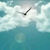 搬砖男神。海报