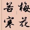 岁月有痕5