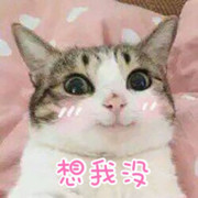 四处游荡中海报