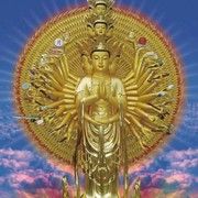天时地利人和p的头像