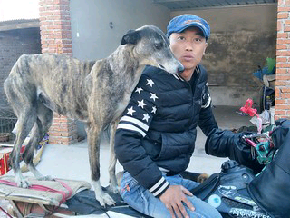 董伯秋的主播照片
