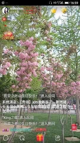 ✨媳婦⭐求🌙帶走✨主播照片