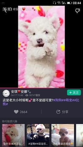 ✨媳婦⭐求🌙帶走✨主播照片