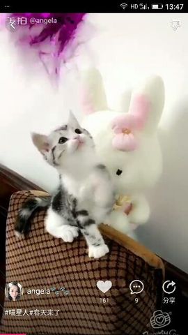 ✨媳婦⭐求🌙帶走✨主播照片