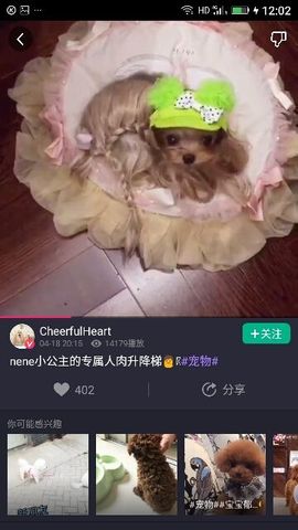 ✨媳婦⭐求🌙帶走✨主播照片