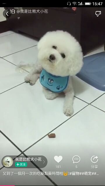 ✨媳婦⭐求🌙帶走✨主播照片