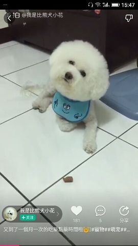 ✨媳婦⭐求🌙帶走✨主播照片