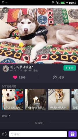 ✨媳婦⭐求🌙帶走✨主播照片