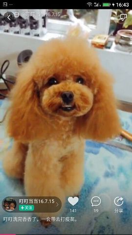 ✨媳婦⭐求🌙帶走✨主播照片