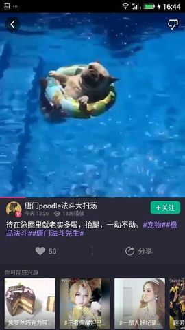 ✨媳婦⭐求🌙帶走✨主播照片