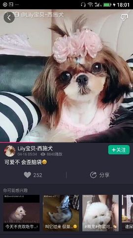 ✨媳婦⭐求🌙帶走✨主播照片