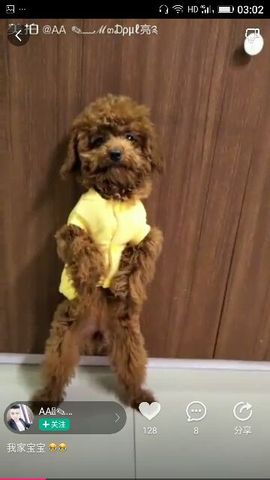 ✨媳婦⭐求🌙帶走✨主播照片