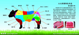 朝天路主播照片