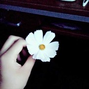 💃🏻小可爱海报