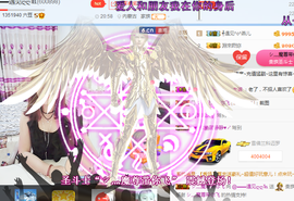 一只雁~主播照片