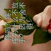 遇到你，爱无悔