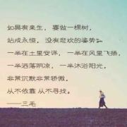 二次元杨阳洋海报