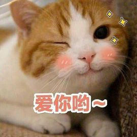 18号-小诗妹主播照片