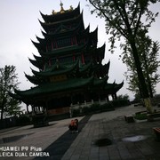 我来了1235的头像