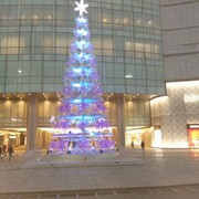 钟氏养生