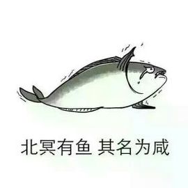 阿妩M主播照片