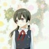 安妮与黑马海报