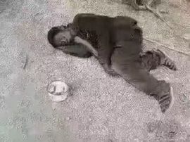 💫人挤人挤死人主播照片