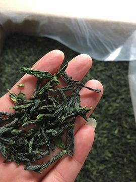 六安🍃茶妹主播照片