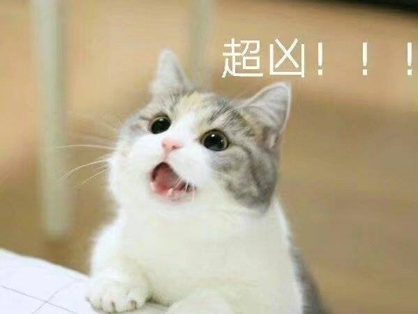 習慣有妮的图片