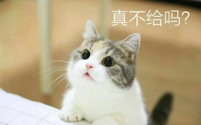 習慣有妮的图片
