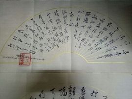 飞哥回来了主播照片