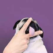℡7