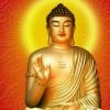 云宝用心唱歌的男神