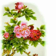 老牛啃☞爆爆