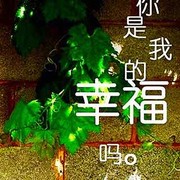 哎d*