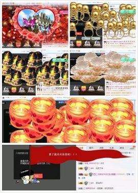 海鸽晚上播主播照片