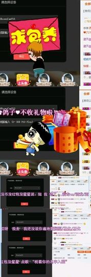 海鸽晚上播主播照片