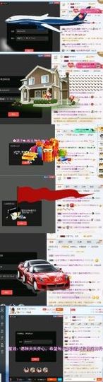 海鸽晚上播主播照片